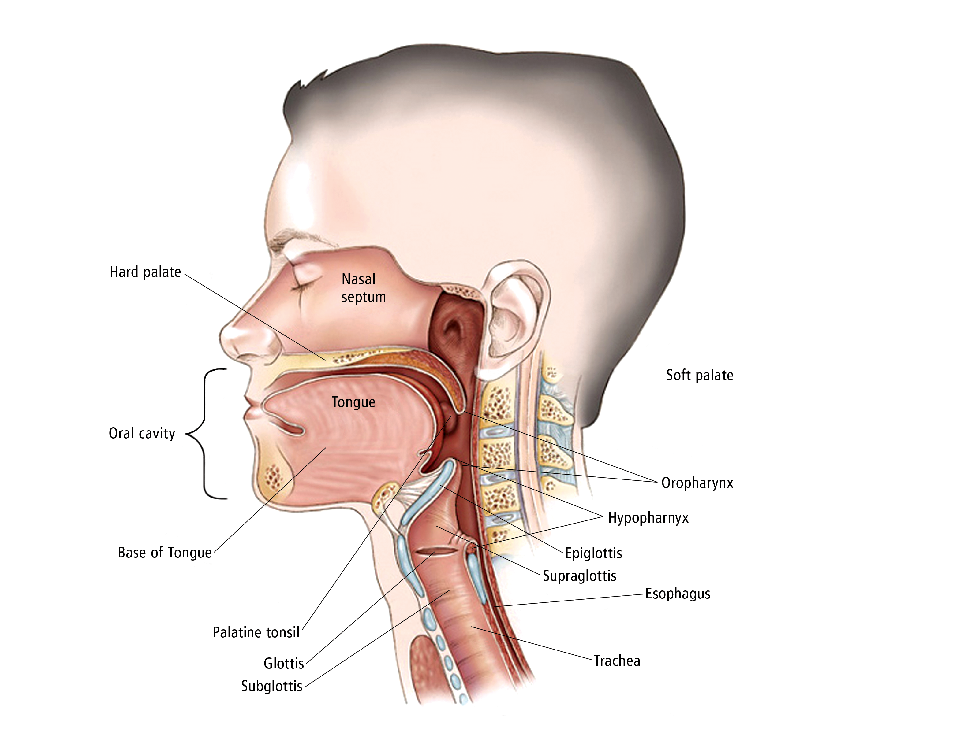 metastatic cancer in neck