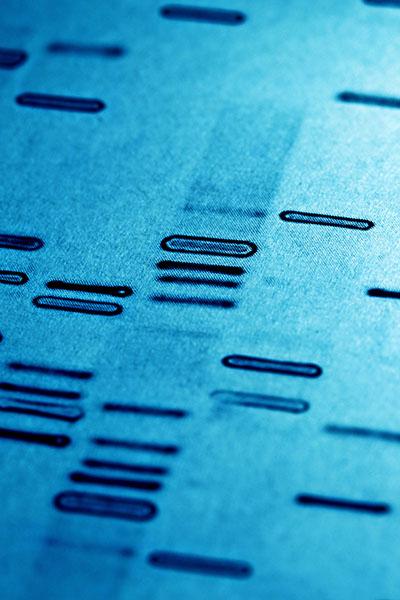Blue background showing DNA sequencing lines