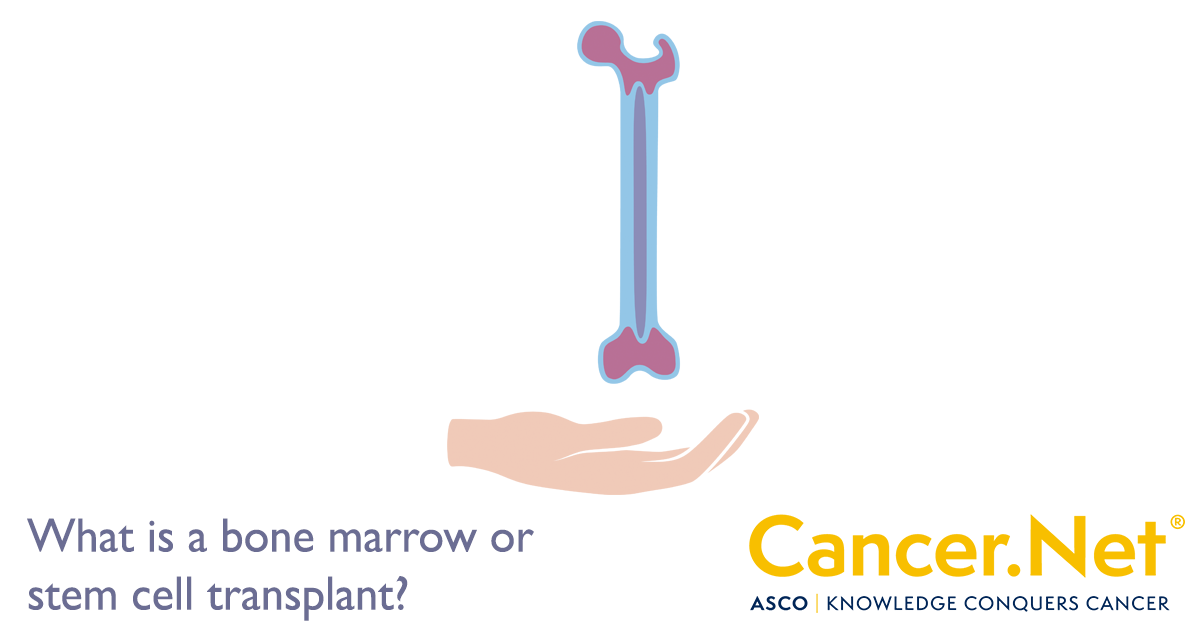 What is a Bone Marrow Transplant (Stem Cell Transplant)?